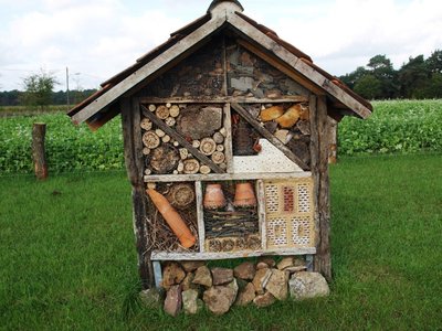 Insektenhotel.JPG
