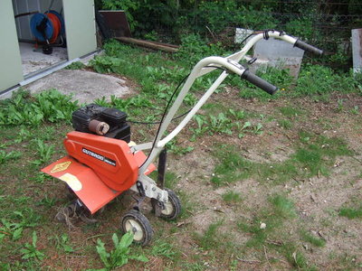 gartenfraese-foto-bild-41314450.jpg