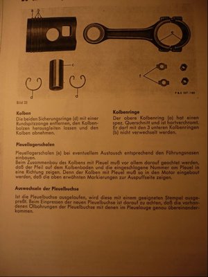 P1020079.JPG