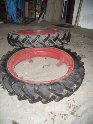 CIMG1710a.JPG