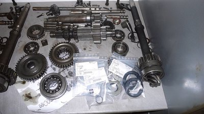 P1030002.JPG
